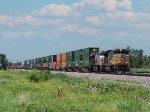 UP 8368